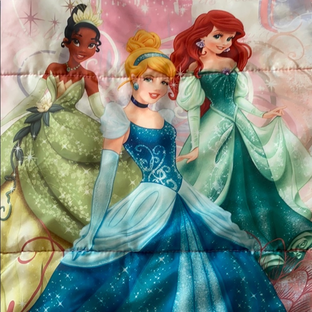 ✨Sleeping Bag👸Disney Princess👸Born to Dream✨